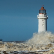 Resilienz und Trauer